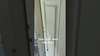 How To Remove Fish Flies