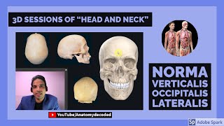 Skull - Norma Verticalis, Occipitalis, Lateralis | 3D Head and Neck Anatomy | Anatomy Lectures