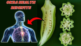 Benefits of Eating Okra - Health Benefits of Okra - Okra Benefits For Health