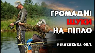 На "Піпло" їх чимало!! Ловимо щук!