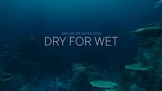 Dry for Wet - Explain like I'm five, VFX edition: E02