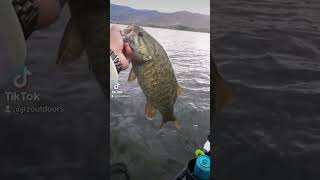 Nice Smallmouth on the Yak