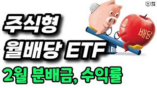 주식형 월배당 33종목 ㅣ 2월 분배금과 수익률 ㅣ 한국 종목들이 빛났다 !