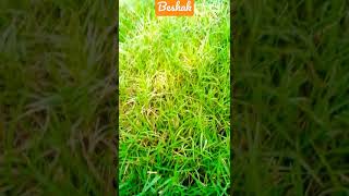 #shorts #shorts_viral #shorts_beta #viral_shorts #viral