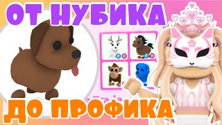 АДОПТ МИ С НУЛЯ! ОТ НУБ ДО ПРО В АДОПТ МИ | ROBLOX ADOPT ME