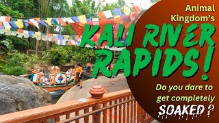 Kali River Rapids at Animal Kingdom- will you get Soaked?