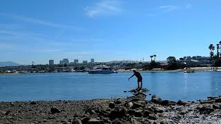 Newport Harbor Spotted Bay Bass fishing!