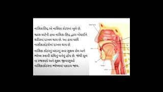 ધોરણ 7, પ્રકરણ 10, સજીવોમાં શ્વસન