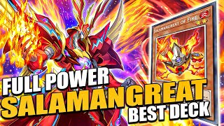 SALAMANGREAT IS THE BEST NEW DECK! [Yu-Gi-Oh! Master Duel]