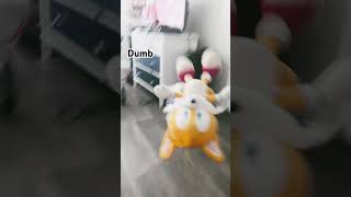 Tails Crash Out  I just thought it was super funny😂