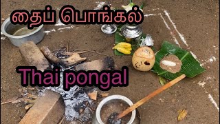 Thai pongal 2021 | தைப்பொங்கல் | jaffna