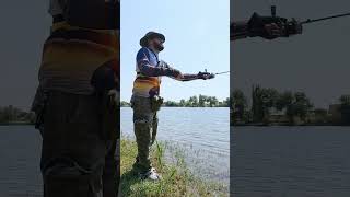 Shorts Ловим жереха на воблеров под Ташкентом Shorts Catching roach on wobblers near Tashkent