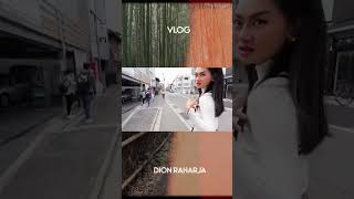 KE RUMAH PENUH EMAS SAMPAI KE HUTAN BAMBU #japan #vlog DAY 6 #arashiyama #kinkakuji #nishikimarket