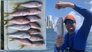 Deep Dropping for Tilefish Off Miami (BONUS Mutton and Yellowtail Snapper)