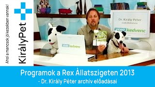 Programok a Rex Állatszigeten 2013