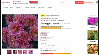 Семена Хризантема Люси 50 ШТ