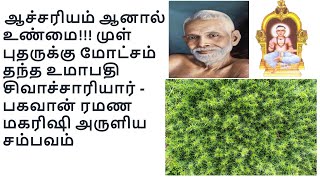 Bhagavan Ramana Maharishi - Salvation of Thorn Bush-Umapathy Sivachariyar-உமாபதி சிவாச்சாரியார்