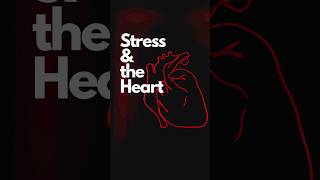 Can Stress Cause Heart Attacks?