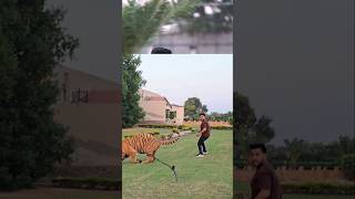 Bengal Tiger Have power of 20 Mens | Nouman Hassan