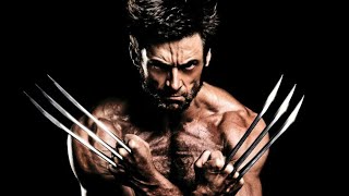 Don't Mess With Wolverine