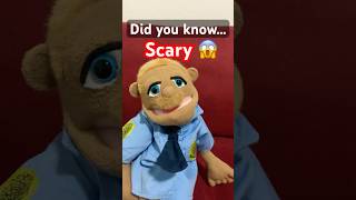 Did You Know… #scary #facts #funfacts #jeffy #smljeffy #sml #puppet #brooklynguy #shorts #memes #fyp