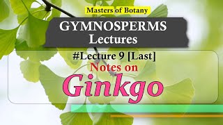 Lecture 9 | Ginkgo (Maiden Hair Tree): General features & Life Cycle | Gymnosperm Lecture Notes