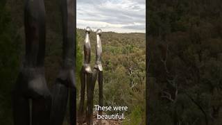 Sculptures in the Scrub, Pilliga National Park, #pilliga