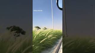 How Dubai Stays Green  in Scorching Heat #viralvideo