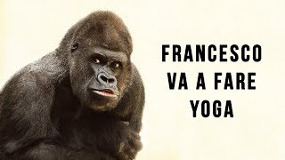 Francesco va a fare yoga