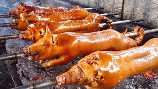 EXTREME Lechon in Cebu – HUGE UNSEEN Pig Roasting Factory!  - Local Food in Philippines!