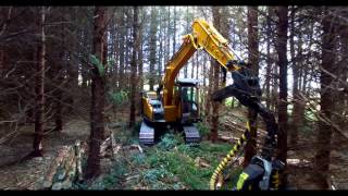 Treeline Woodlands Ltd. Thinning in Scotland