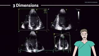 〖Echocardiography〗 Two-chamber-view (2-ChV), apical long axis view (APLAX) - apical views❣️