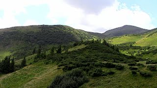 Шарм Карпатских гор The charm of the Carpathian mountains отдых в карпатах