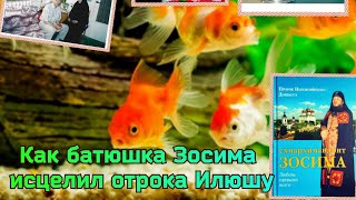 Как батюшка Зосима исцелил отрока Илюшу.