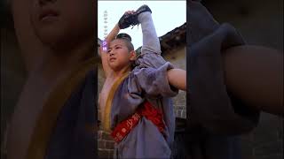 少林功夫Shaolin Kung Fu #kungfu