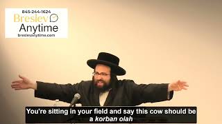 Rabbi Yoel Roth - Your words are powerful