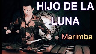 Hijo de La Luna -Marimba Rafa Navarro- MECANO