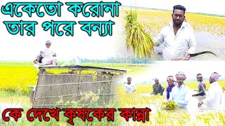 একেতো ক রো না তার পরে বন্যা। কে দেখে কৃষকের কান্না। পানিতে ভিজে ধান কাটতে কৃষকের কষ্টের ভিডিও