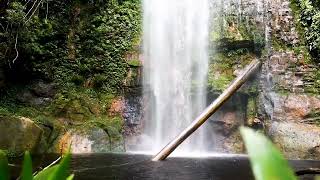 beautiful waterfall 😍 for relaxing sleep 😴🎧#naturesounds #waterfallsounds #water #nature #calmmusic