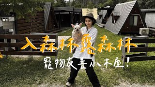 #22露【夏天首選露營區！】超美合掌村｜寵物友善小木屋｜ft.餓貳市場｜陳先陳太