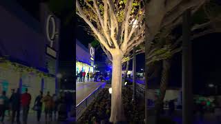 Subscribe -Disney Springs Florida