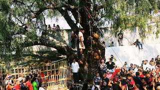 Semana santa 2022 - Judas - Pueblo de Santa fe CDMX