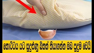 කොට්ටය යට සුදුළුණු බිකක් තියාගන්න ඔබ පුදුම වෙයි | Put Garlic Under Your Pillow | Benefits of Garlic