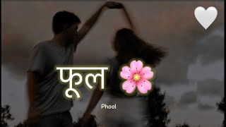 फूल 🌸 - Sujan Chapagain-