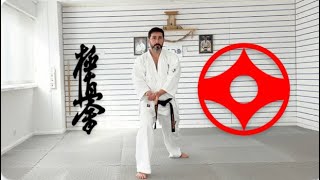 KYOKUSHIN KARATE SAIFA KATA