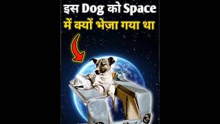 Why Was This Dog Sent Into Space 😨🤔 #shorts #fact #facts #knowledge  #ytshorts #gk