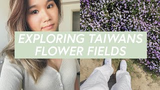 gap year in taiwan series: shooting oris, ktv in keelung, & lily fields