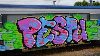 TRAIN GRAFFITI // GARE DE DOLE // STUP-HETA-KST...