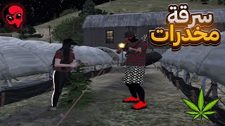 سرقنا المخدرات و وقعت الصدمة / GTA RP ALIENS #2