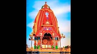 The biggest rath yatra in the world//jaganath Puri status 🙏🙏